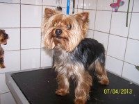 /album/fotogaleria/salon-025-jpg/